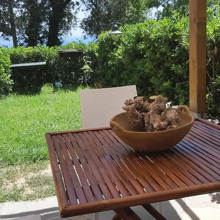 Luna Nyaraló *
